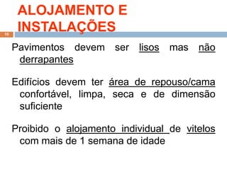 ALOJAMENTO E
INSTALAÇÕES
Pavimentos devem ser lisos mas não
derrapantes
Edifícios devem ter área de repouso/cama
confortável, limpa, seca e de dimensão
suficiente
Proibido o alojamento individual de vitelos
com mais de 1 semana de idade
10
 