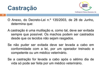 Castração
O Anexo, do Decreto-Lei n.º 135/2003, de 28 de Junho,
determina que:
A castração é uma mutilação e, como tal, deve ser evitada
sempre que possível. Os machos podem ser castrados
desde que os tecidos não sejam rasgados.
Se não puder ser evitada deve ser levada a cabo em
conformidade com a lei, por um operador treinado e
competente ou um médico veterinário.
Se a castração for levada a cabo após o sétimo dia de
vida só pode ser feita por um médico veterinário.
20
 