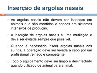 Inserção de argolas nasais
 As argolas nasais não devem ser inseridas em
animais que são mantidos e criados em sistemas
intensivos de produção.
 A inserção de argolas nasais é uma mutilação e
deve ser evitada sempre que possível.
 Quando é necessário inserir argolas nasais nos
suínos, a operação deve ser levada a cabo por um
profissional treinado e competente.
 Todo o equipamento deve ser limpo e desinfectado
quando utilizado de animal para animal.
22
 