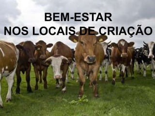 6
BEM-ESTAR
NOS LOCAIS DE CRIAÇÃO
 