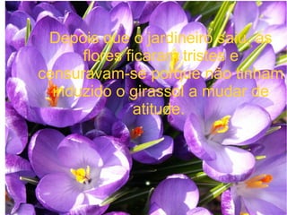 Depois que o jardineiro saiu, as
flores ficaram tristes e
censuravam-se porque não tinham
induzido o girassol a mudar de
atitude.

 