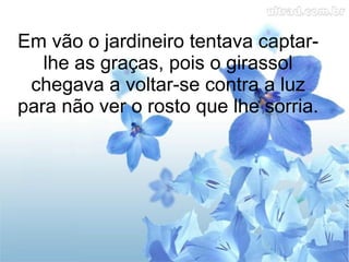 Em vão o jardineiro tentava captarlhe as graças, pois o girassol
chegava a voltar-se contra a luz
para não ver o rosto que lhe sorria.

 