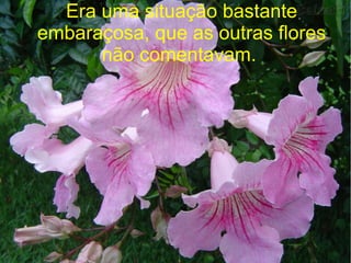 Era uma situação bastante
embaraçosa, que as outras flores
não comentavam.

 