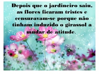 Depois que o jardineiro saiu,
as flores ficaram tristes e
censuravam-se porque não
tinham induzido o girassol a
mudar de atitude.

 