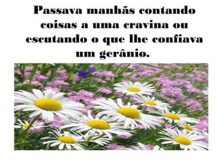Passava manhãs contando
coisas a uma cravina ou
escutando o que lhe confiava
um gerânio.

 