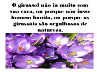 O girassol não ia muito com
sua cara, ou porque não fosse
homem bonito, ou porque os
girassóis são orgulhosos de
natureza.

 