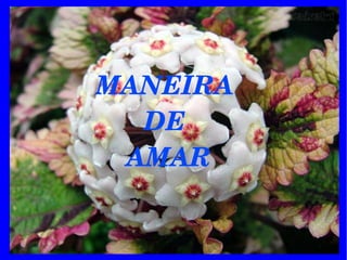MANEIRA 
DE 
AMAR
 