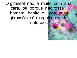 O girassol não ia muito com sua
cara, ou porque não fosse
homem bonito, ou porque os
girrassóis são orgulhosos de
natureza.
 