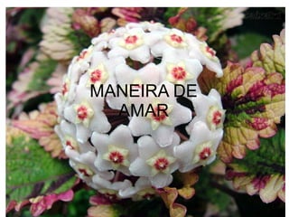 MANEIRA DE
AMAR
 