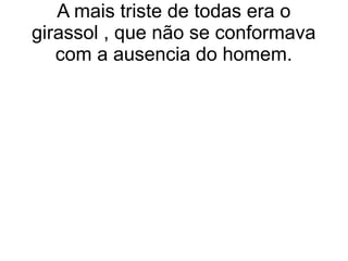 A mais triste de todas era o
girassol , que não se conformava
com a ausencia do homem.
 