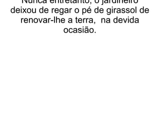 Nunca entretanto, o jardineiro
deixou de regar o pé de girassol de
renovar-lhe a terra, na devida
ocasião.
 