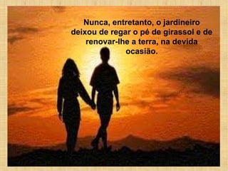 Nunca, entretanto, o jardineiro
deixou de regar o pé de girassol e de
renovar-lhe a terra, na devida
ocasião.
 