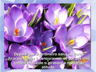 Depois que o jardineiro saiu, as flores
ficaram tristes e censuravam-se porque não
tinham induzido o girassol a mudar de
atitude.

 