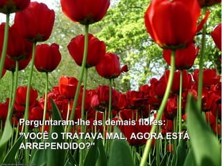 Perguntaram-lhe as demais flores:
"VOCÊ O TRATAVA MAL, AGORA ESTÁ
ARREPENDIDO?"

 