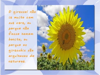 O girassol não
ia muito com
sua cara, ou
porque não

fosse homem
bonito, ou
porque os

girassóis são

orgulhosos de
natureza.

 