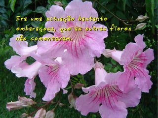 Era uma situação bastante
embaraçosa, que as outras flores
não comentavam.

 