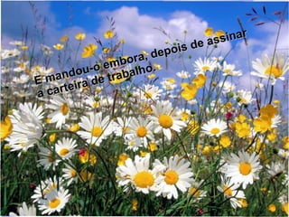 inar
e as s
ois d
, dep
bora
-o em alho.
ndou e trab
ma
E
ira d
c a r te
a

 