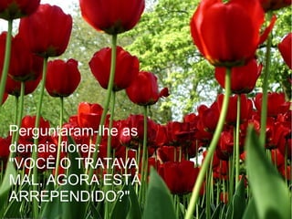 Perguntaram-lhe as
demais flores:
"VOCÊ O TRATAVA
MAL, AGORA ESTÁ
ARREPENDIDO?"

 