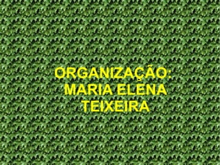 ORGANIZAÇÃO:
MARIA ELENA
TEIXEIRA

 