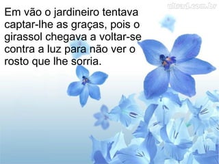 Em vão o jardineiro tentava
captar-lhe as graças, pois o
girassol chegava a voltar-se
contra a luz para não ver o
rosto que lhe sorria.

 