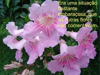 Era uma situação
bastante
embaraçosa, que
as outras flores
não comentavam.

 