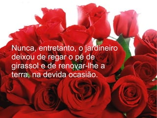 Nunca, entretanto, o jardineiro
deixou de regar o pé de
girassol e de renovar-lhe a
terra, na devida ocasião.

 