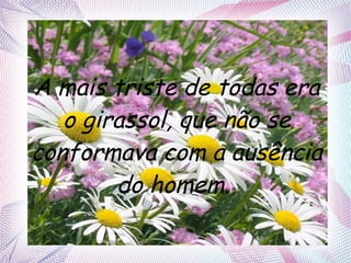 A mais triste de todas era
o girassol, que não se
conformava com a ausência
do homem.

 