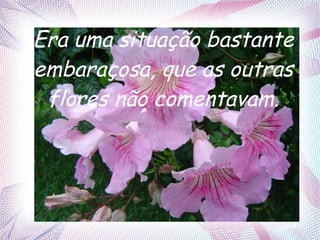 Era uma situação bastante
embaraçosa, que as outras
flores não comentavam.

 
