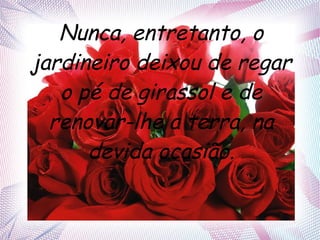 Nunca, entretanto, o
jardineiro deixou de regar
o pé de girassol e de
renovar-lhe a terra, na
devida ocasião.

 