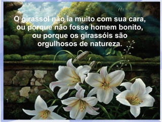 O girassol não ia muito com sua cara,
ou porque não fosse homem bonito,
ou porque os girassóis são
orgulhosos de natureza.

 