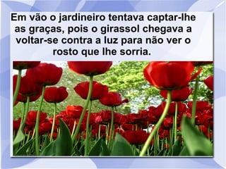 Em vão o jardineiro tentava captar-lhe
as graças, pois o girassol chegava a
voltar-se contra a luz para não ver o
rosto que lhe sorria.

 