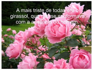 A mais triste de todas era o
girassol, que não se conformava
com a ausência do homem.

 