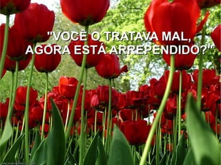 "VOCÊ O TRATAVA MAL,
AGORA ESTÁ ARREPENDIDO?"

 