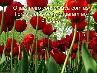 O jardineiro conversava com as
flores e elas se habituaram ao
diálogo.

 