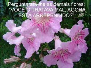 Perguntaram-lhe as demais flores:
"VOCÊ O TRATAVA MAL, AGORA
ESTÁ ARREPENDIDO?"

 
