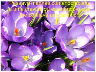 Passava manhãs contando coisas
a uma cravina ou escutando o que
lhe confiava um gerânio.

 