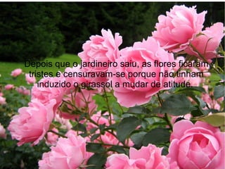 Depois que o jardineiro saiu, as flores ficaram
tristes e censuravam-se porque não tinham
induzido o girassol a mudar de atitude.

 