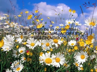 Perguntaram-lhe as demais flores:
"VOCÊ O TRATAVA MAL, AGORA ESTÁ
ARREPENDIDO?"

 