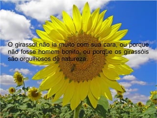 O girassol não ia muito com sua cara, ou porque
não fosse homem bonito, ou porque os girassóis
são orgulhosos de natureza.

 