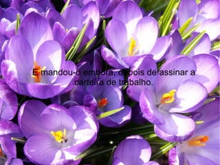 E mandou-o embora, depois de assinar a
carteira de trabalho.

 