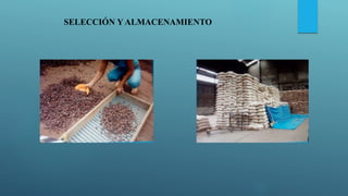 SELECCIÓN Y ALMACENAMIENTO
 