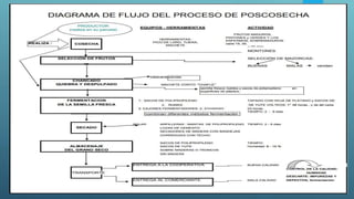 Manejo agronómico-del-cacao
