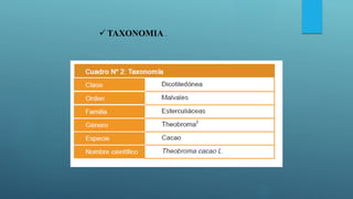  TAXONOMIA .
 