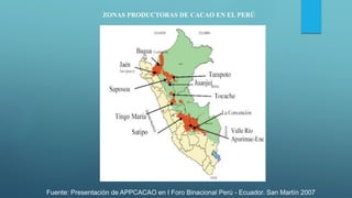 ZONAS PRODUCTORAS DE CACAO EN EL PERÚ
Fuente: Presentación de APPCACAO en I Foro Binacional Perú - Ecuador. San Martín 2007
 