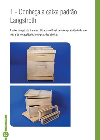 Coleção|SENAR
20
1 - Conheça a caixa padrão
Langstroth
A caixa Langstroth é a mais utilizada no Brasil devido à praticidade de ma-
nejo e às necessidades biológicas das abelhas.
 