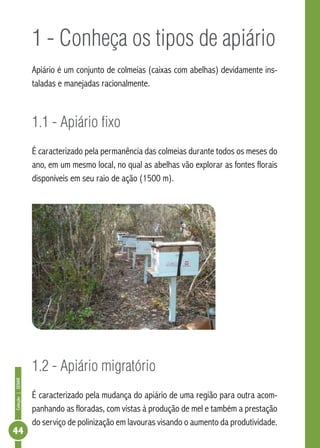 Coleção|SENAR
44
1 - Conheça os tipos de apiário
Apiário é um conjunto de colmeias (caixas com abelhas) devidamente ins-
taladas e manejadas racionalmente.
1.1 - Apiário fixo
É caracterizado pela permanência das colmeias durante todos os meses do
ano, em um mesmo local, no qual as abelhas vão explorar as fontes florais
disponíveis em seu raio de ação (1500 m).
1.2 - Apiário migratório
É caracterizado pela mudança do apiário de uma região para outra acom-
panhando as floradas, com vistas à produção de mel e também a prestação
do serviço de polinização em lavouras visando o aumento da produtividade.
 