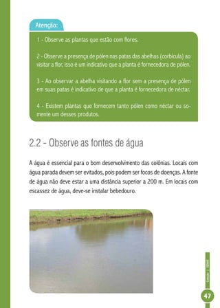 Coleção|SENAR
47
2.2 - Observe as fontes de água
A água é essencial para o bom desenvolvimento das colônias. Locais com
água parada devem ser evitados, pois podem ser focos de doenças. A fonte
de água não deve estar a uma distância superior a 200 m. Em locais com
escassez de água, deve-se instalar bebedouro.
Atenção:
1 - Observe as plantas que estão com flores.
2 - Observe a presença de pólen nas patas das abelhas (corbícula) ao
visitar a flor, isso é um indicativo que a planta é fornecedora de pólen.
3 - Ao observar a abelha visitando a flor sem a presença de pólen
em suas patas é indicativo de que a planta é fornecedora de néctar.
4 - Existem plantas que fornecem tanto pólen como néctar ou so-
mente um desses produtos.
 