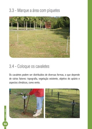 Coleção|SENAR
50
3.3 - Marque a área com piquetes
3.4 - Coloque os cavaletes
Os cavaletes podem ser distribuídos de diversas formas, o que depende
de vários fatores: topografia, vegetação existente, objetivo do apiário e
aspectos climáticos, como vento.
 