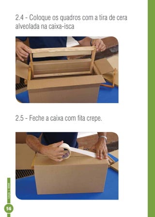 Coleção|SENAR
56
2.4 - Coloque os quadros com a tira de cera
alveolada na caixa-isca
2.5 - Feche a caixa com fita crepe.
 
