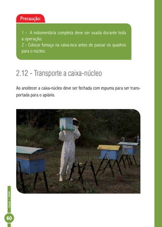 Coleção|SENAR
60
2.12 - Transporte a caixa-núcleo
Ao anoitecer a caixa-núcleo deve ser fechada com espuma para ser trans-
portada para o apiário.
Precaução:
1 - A indumentária completa deve ser usada durante toda
a operação;
2 - Colocar fumaça na caixa-isca antes de passar os quadros
para o núcleo.
 